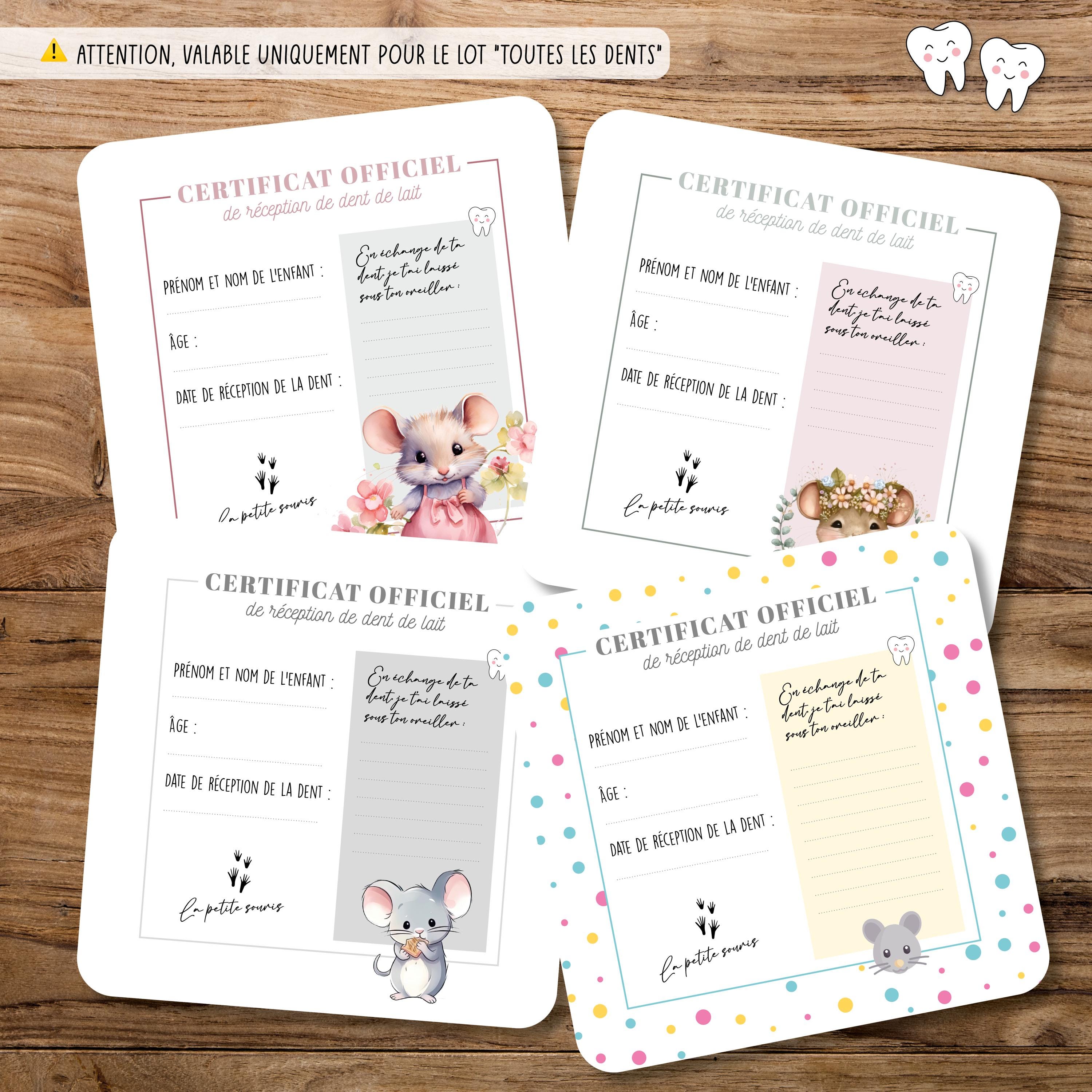 Certificat de la petit souris | Kit de la petite souris, dents tombées, dents sorties