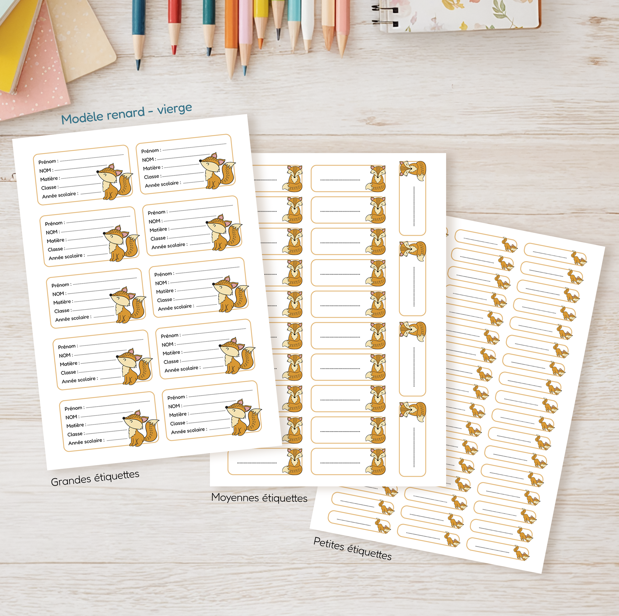 Étiquettes scolaires personnalisables ou vierges | Rentrée des classes | Plusieurs formats | Fournitures école maternelle primaire